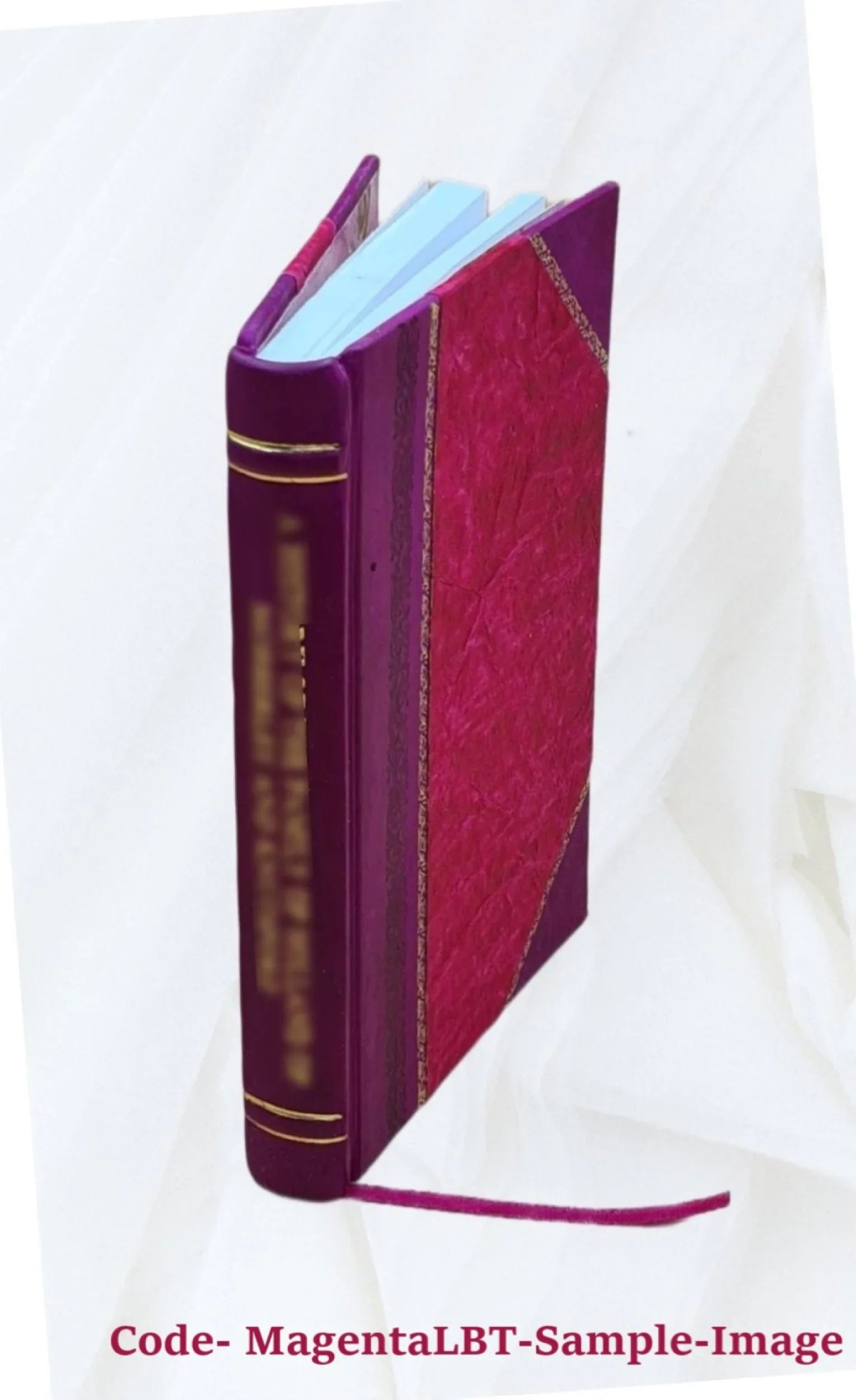 A cost evaluation of alternative air quality control strategies / by Sizecott E.Atkinson and Donald H.Lewis. Prepared for Washington Environmental Research Center, Off [Leather Bound]