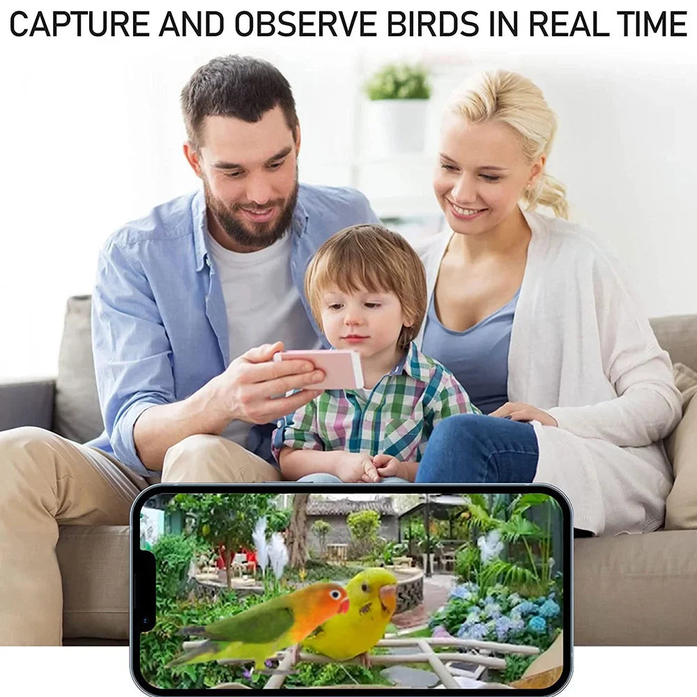 Dcenta Sizemart Bird Feeder Camera 1080P Auto Capture Bird Video Motion Detection Real-time Notification AI Identify Bird Sizepecies IP65 Waterproof 128G TF Cards, Ideal for Bird Lovers