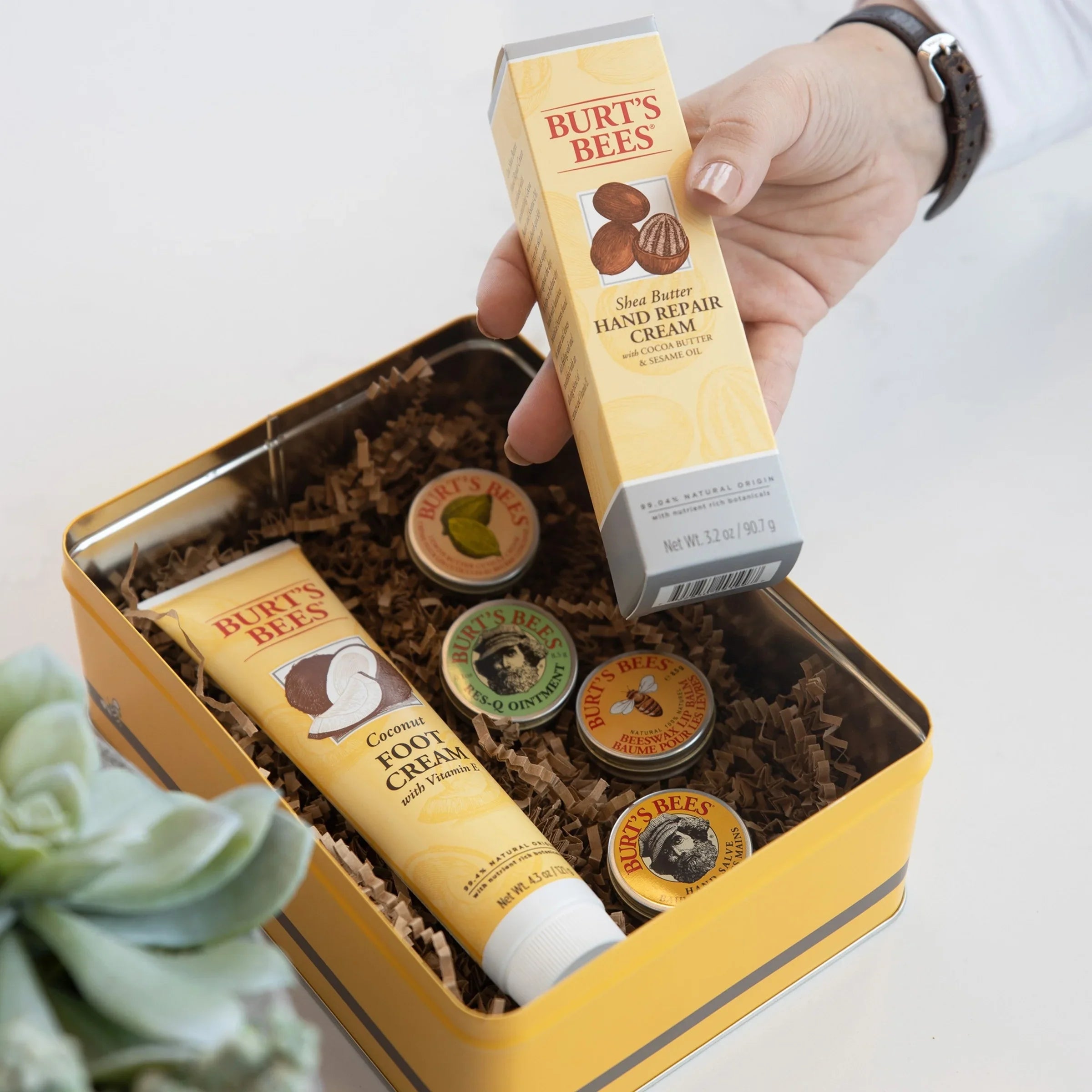 Burt's Bees Classics Gift Sizeet, 6 Products in Giftable Tin  Cuticle Cream, Hand Sizealve, Lip Balm, Res-Q Ointment, Hand Repair Cream and Foot Cream