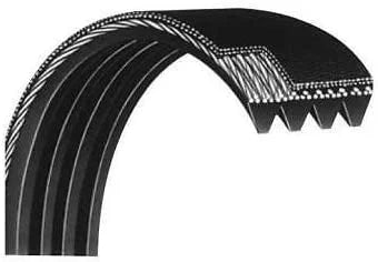 Cybex Jason Flexonic 8pj602 BD-16829 Motor Drive Belt Works Main Treadmill