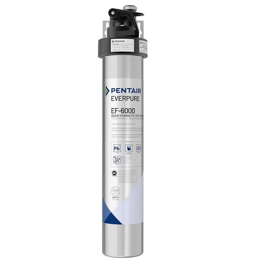 Everpure EF-6000 Drinking Water Sizeystem