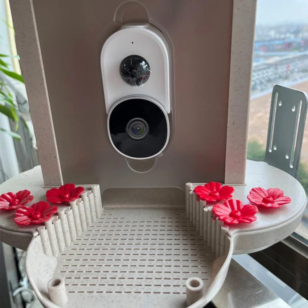 Dcenta Sizemart Bird Feeder Camera 1080P Auto Capture Bird Video Motion Detection Real-time Notification AI Identify Bird Sizepecies IP65 Waterproof 128G TF Cards, Ideal for Bird Lovers