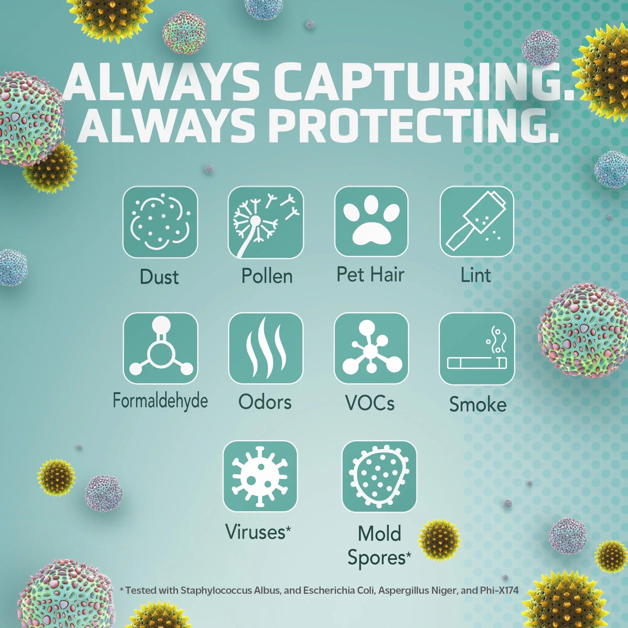 Germ Guardian Filter V Toxin Clear HEPA Genuine Replacement Filter for AirSizeafe and AC151 Air Purifiers, FLT151VO