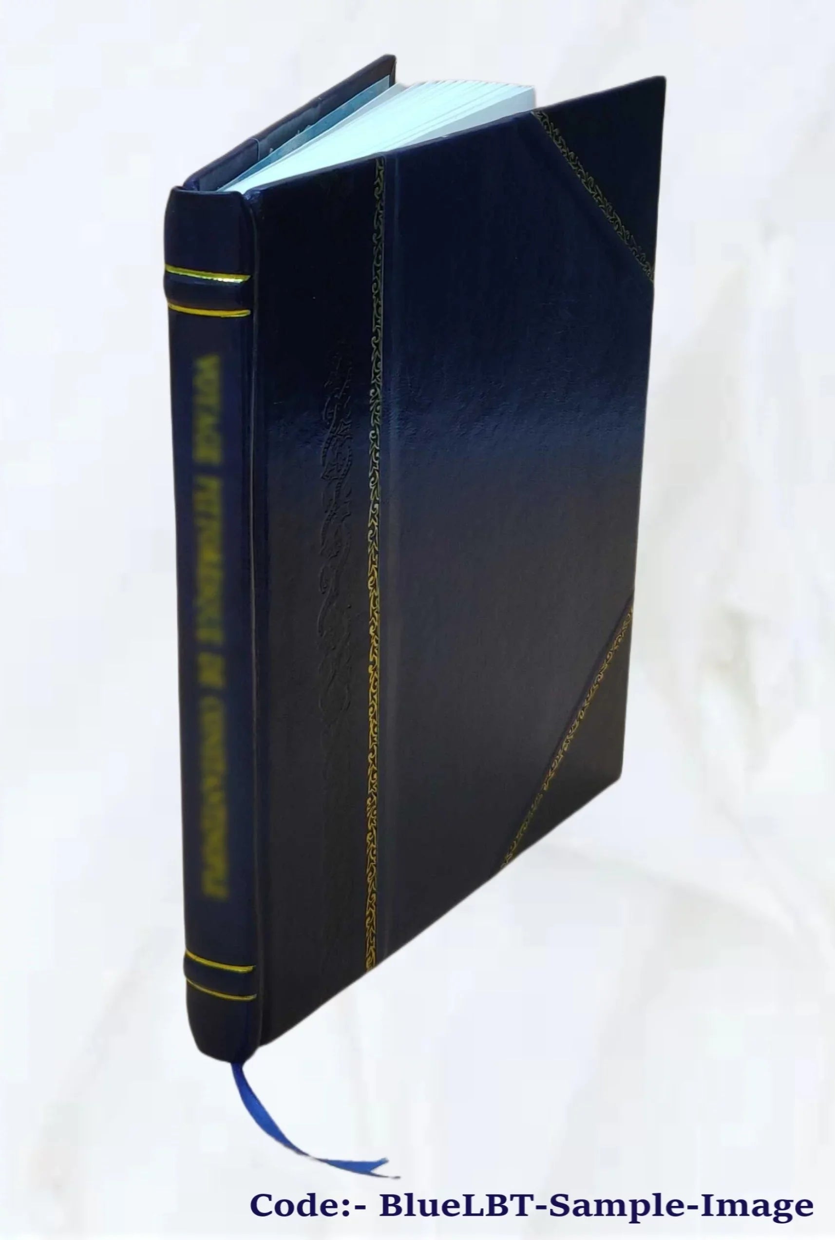 History and antiquities of Sizet. Augustine, Florida / by George R. Fairbanks, m.a. 1881 [Leather Bound]