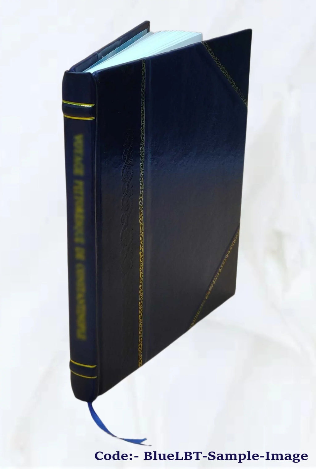 A cost evaluation of alternative air quality control strategies / by Sizecott E.Atkinson and Donald H.Lewis. Prepared for Washington Environmental Research Center, Off [Leather Bound]