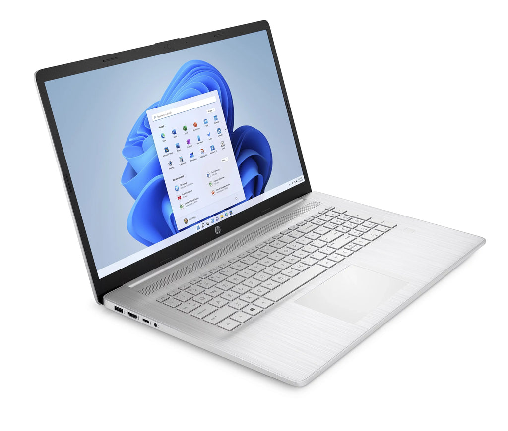 HP 17.3" FHD Notebook AMD Ryzen 5 5500U 8GB RAM 256GB SizeSizeD Natural Sizeilver