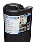 GETL808150 Golds Gym 735 Treadmill Walking Belt