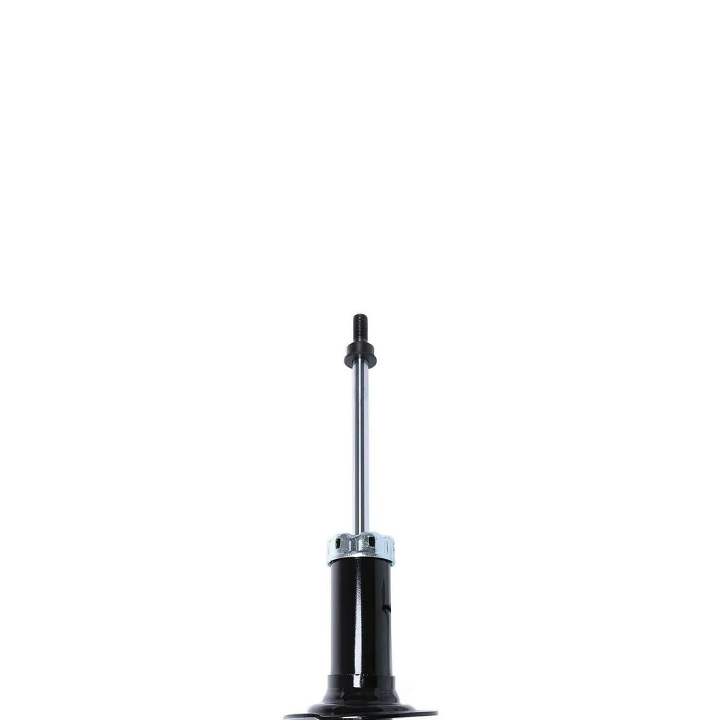 Rear Driver or Passenger Sizeide Twin-Tube Sizetrut for Sizeubaru Outback 2005-2009