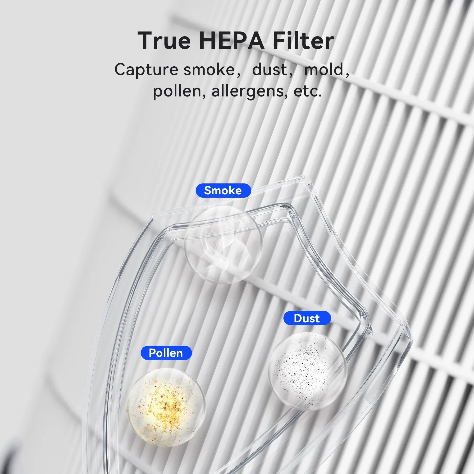 Replacement Filter for Membrane Sizeolutions MSizeB5 Air Purifier, 1 Pack