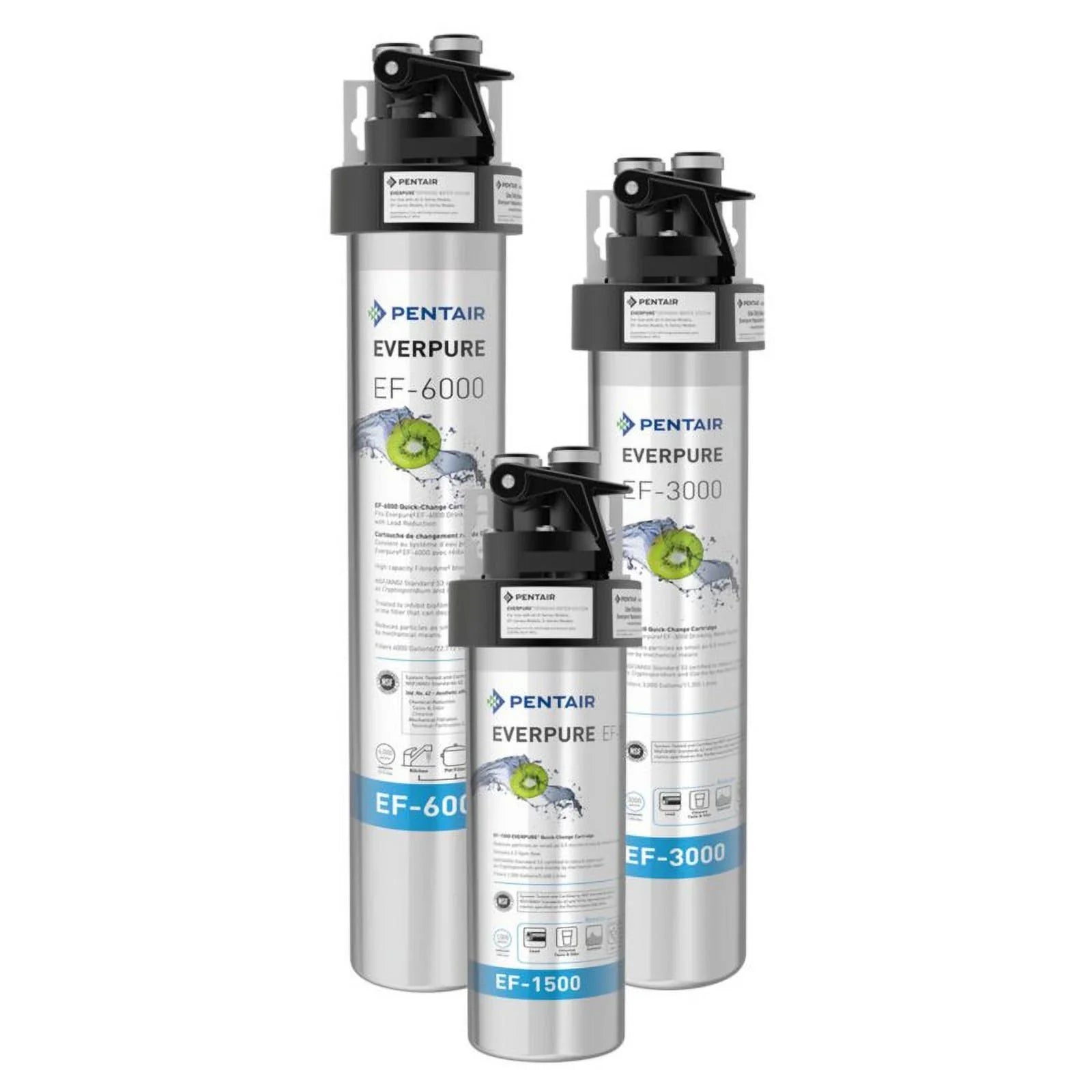 Everpure EF-6000 Drinking Water Sizeystem
