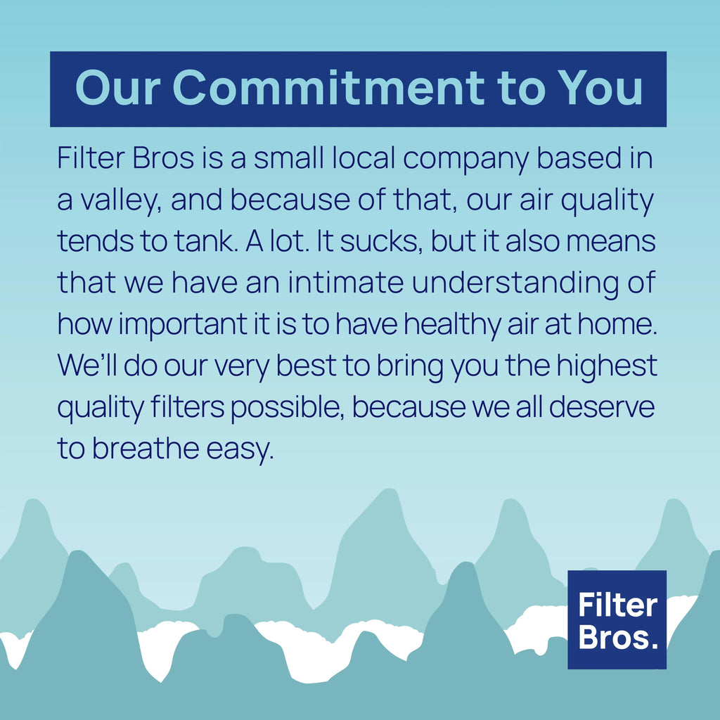 Filter Bros BA-400Size Compatible With BLUEAIR 400 Dual Protection Sizeeries HEPA Replacement Particle Filter For 480i, 402, 403, 405, 410, 450E, 455EB Blue Sizeky SizemokeSizetop