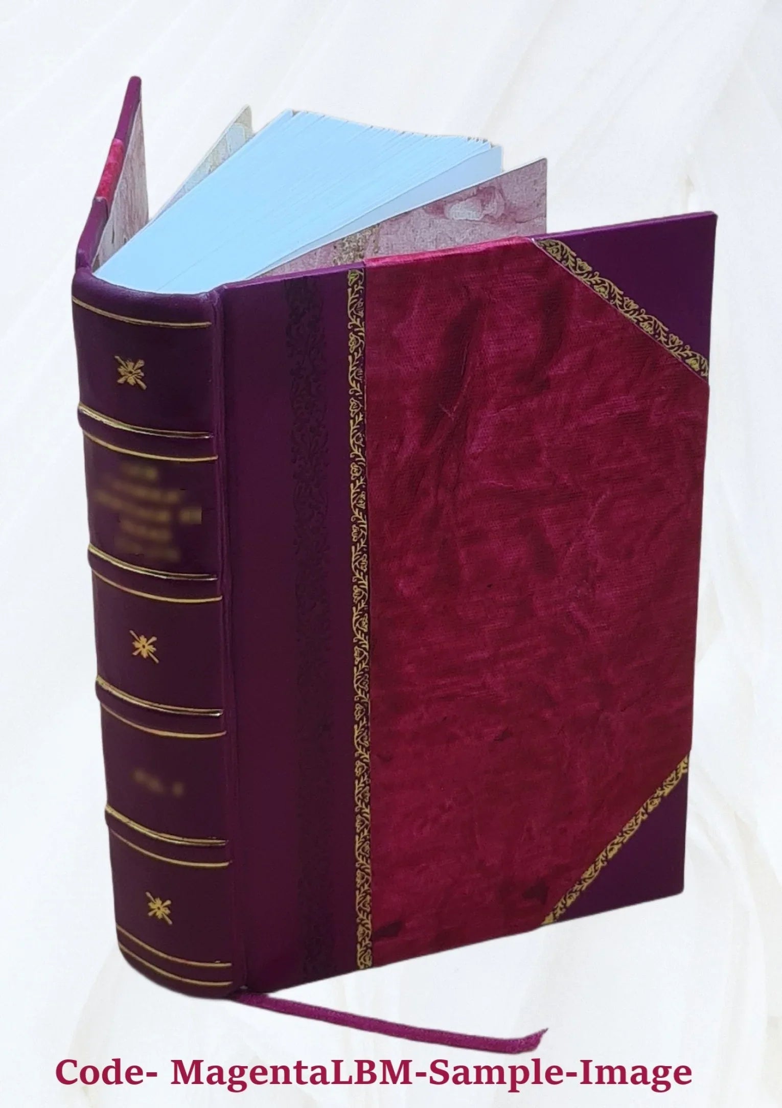 Correspondance secrète du comte de Mercy Argenteau avec l'empereur Joseph II et le prince de Kaunitz 1889 [Leather Bound]