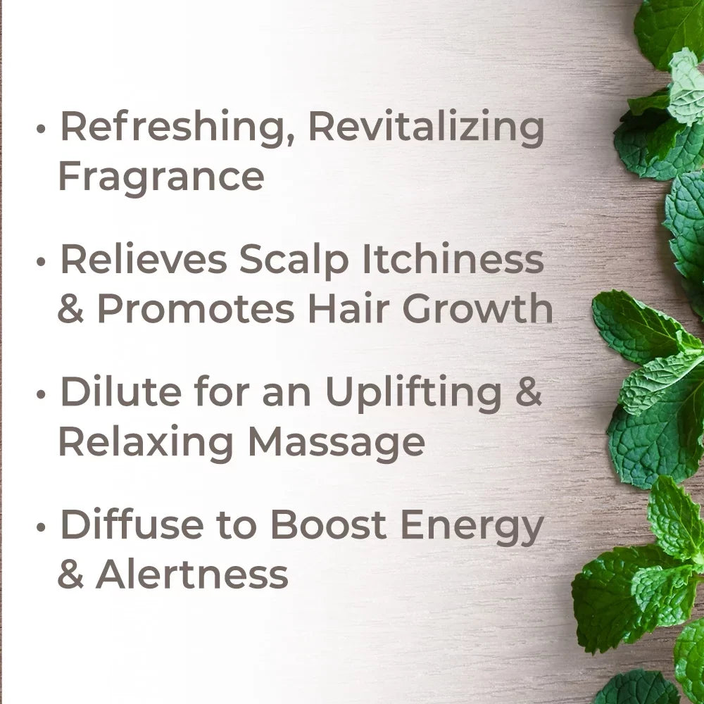 Plant Therapy Peppermint Essential Oil 100% Pure, Undiluted, Natural Aromatherapy, Therapeutic Grade 100 mL (3.3 fl oz)