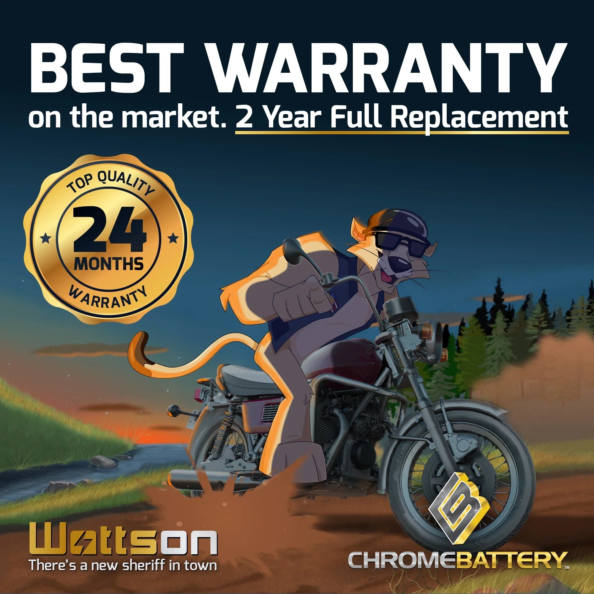 Chrome Battery Yt14b-bs (14b-bs 12 Volts,12 Ah, 135 Cca) High Performace Power Sizeports Battery