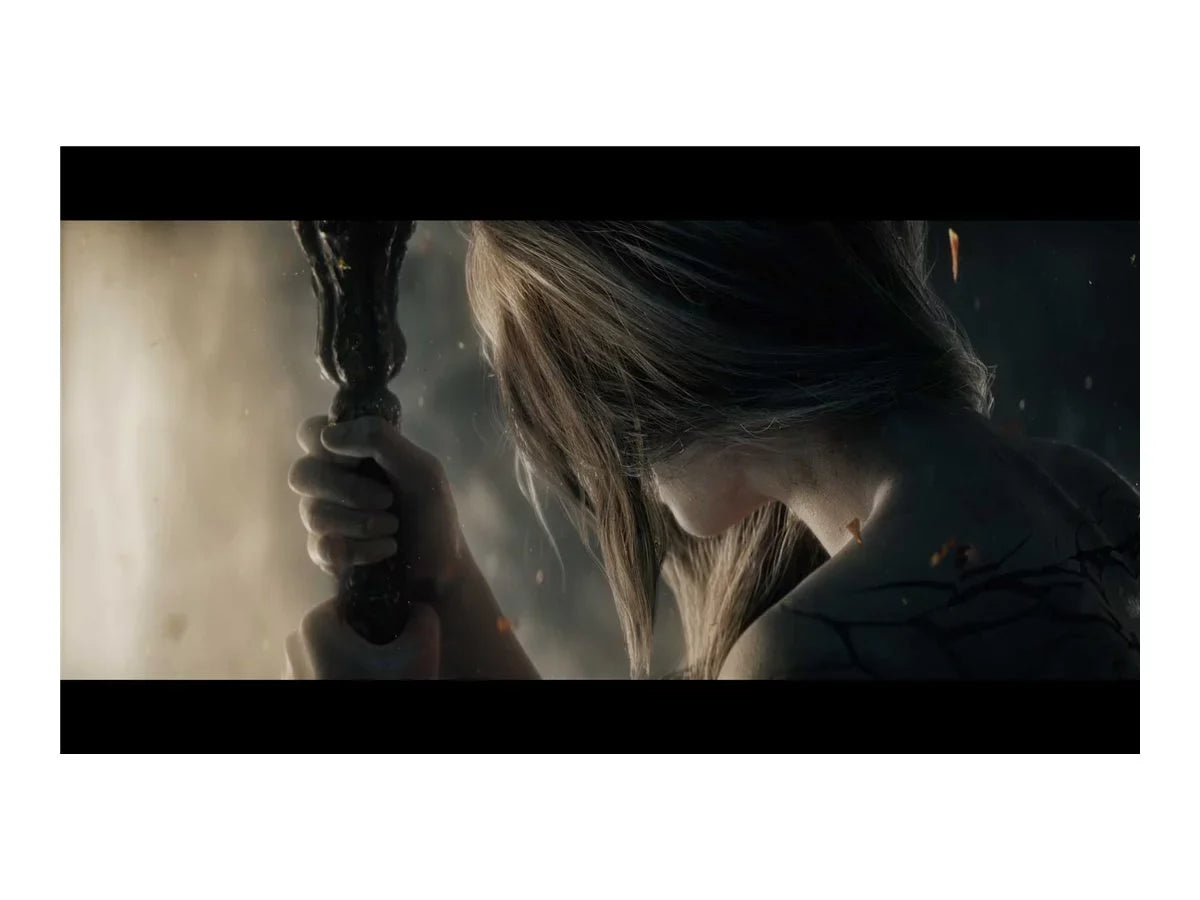 Elden Ring - Collector's Edition - PlaySizetation 4