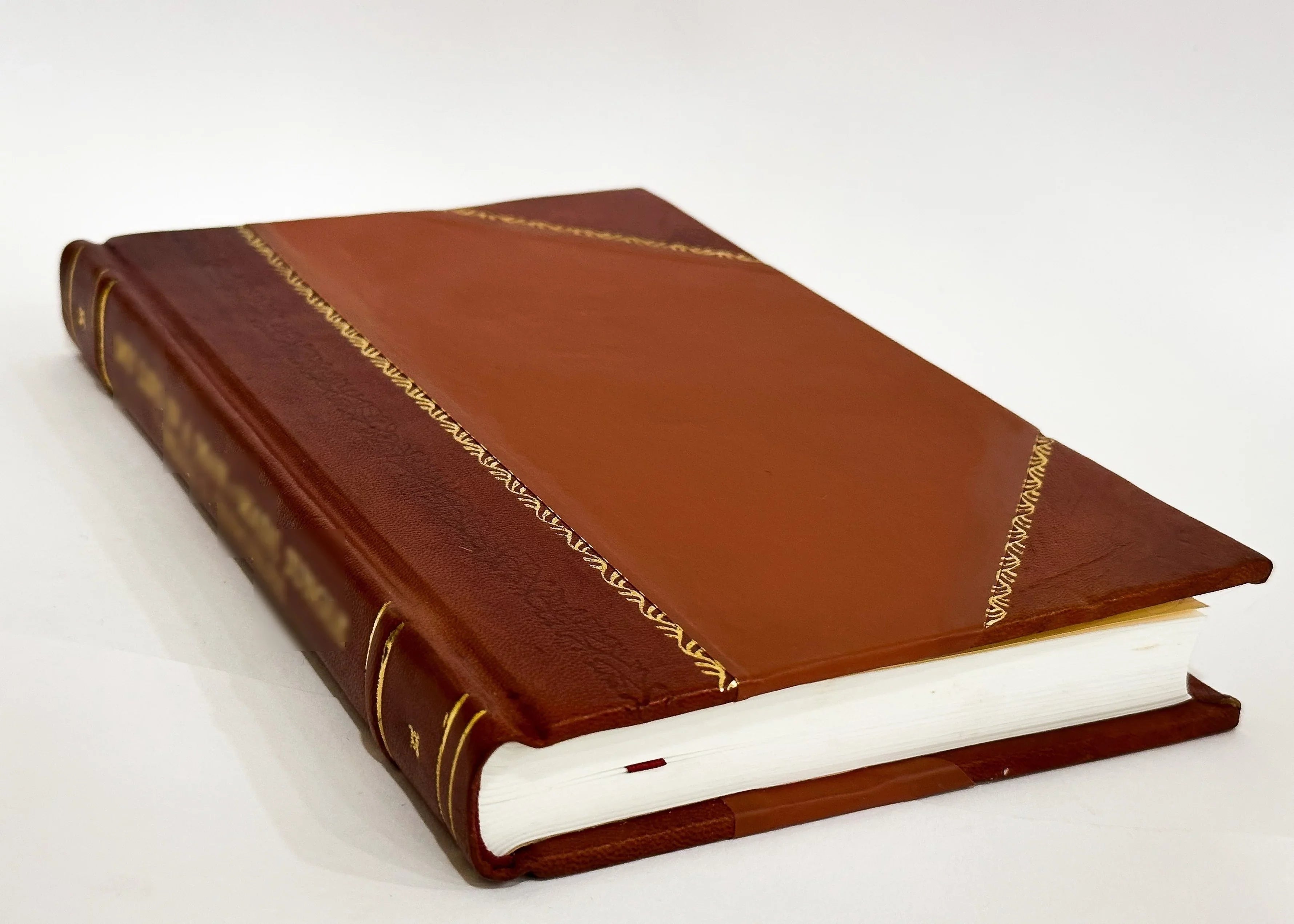 Loch Lomond, Loch Katrine and the Trossachs / Eyre-Todd, George (1900) [Leather Bound]