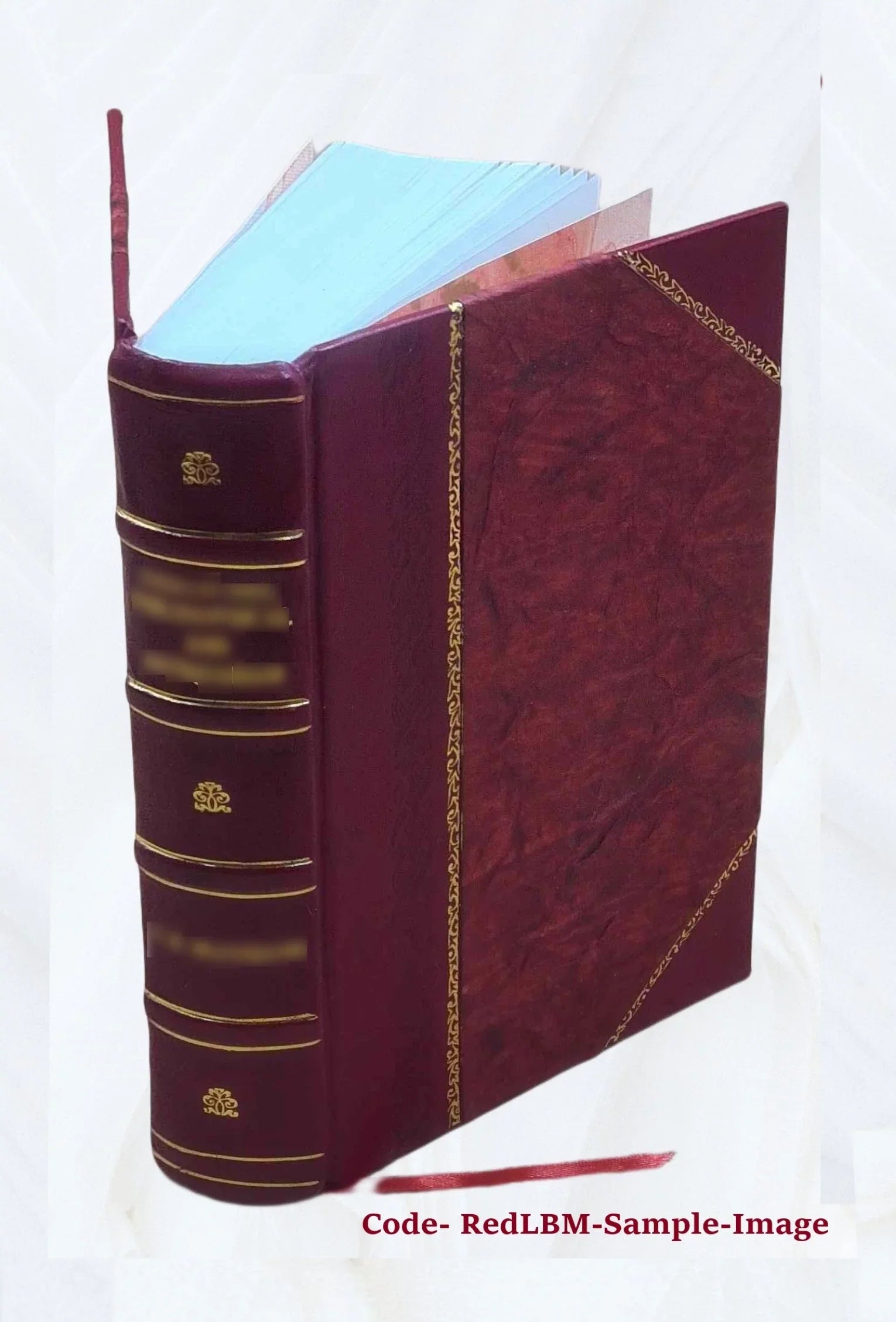 Gun and camera in southern Africa; a year of wanderings in Bechuanaland, the Kalahari Desert, and the Lake River country, Ngamiland, 1893 [Leather Bound]
