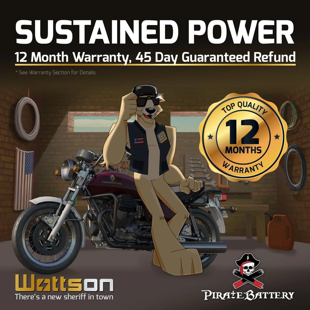 Pirate Battery Y50-N18L-A3 (50-N18L-A3 12 Volt,20 Ah, 260 CCA) Motorcycle Battery for Yamaha 1300cc Xvz13 Venture/royale 1987