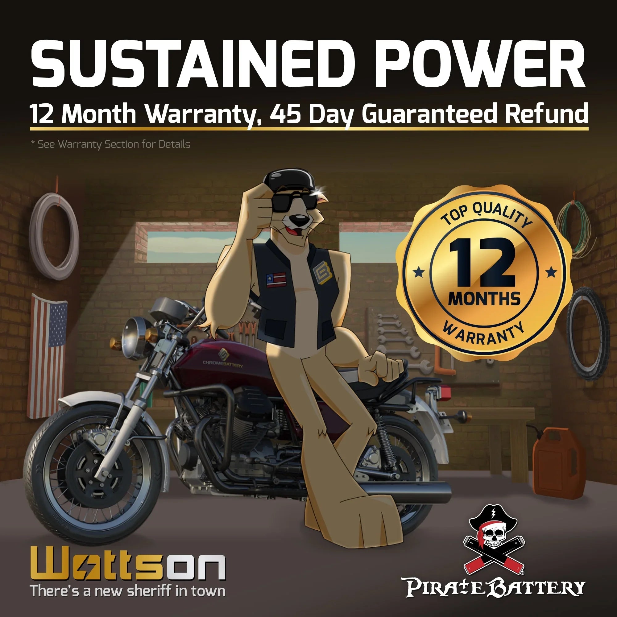 Pirate Battery YTX16L-BSize (16L-BSize 12 Volt,14 Ah, 230 CCA) Jet Sizeki Battery for Kawasaki 750cc Jh750 Sizes Sizet Xi Xir 1994