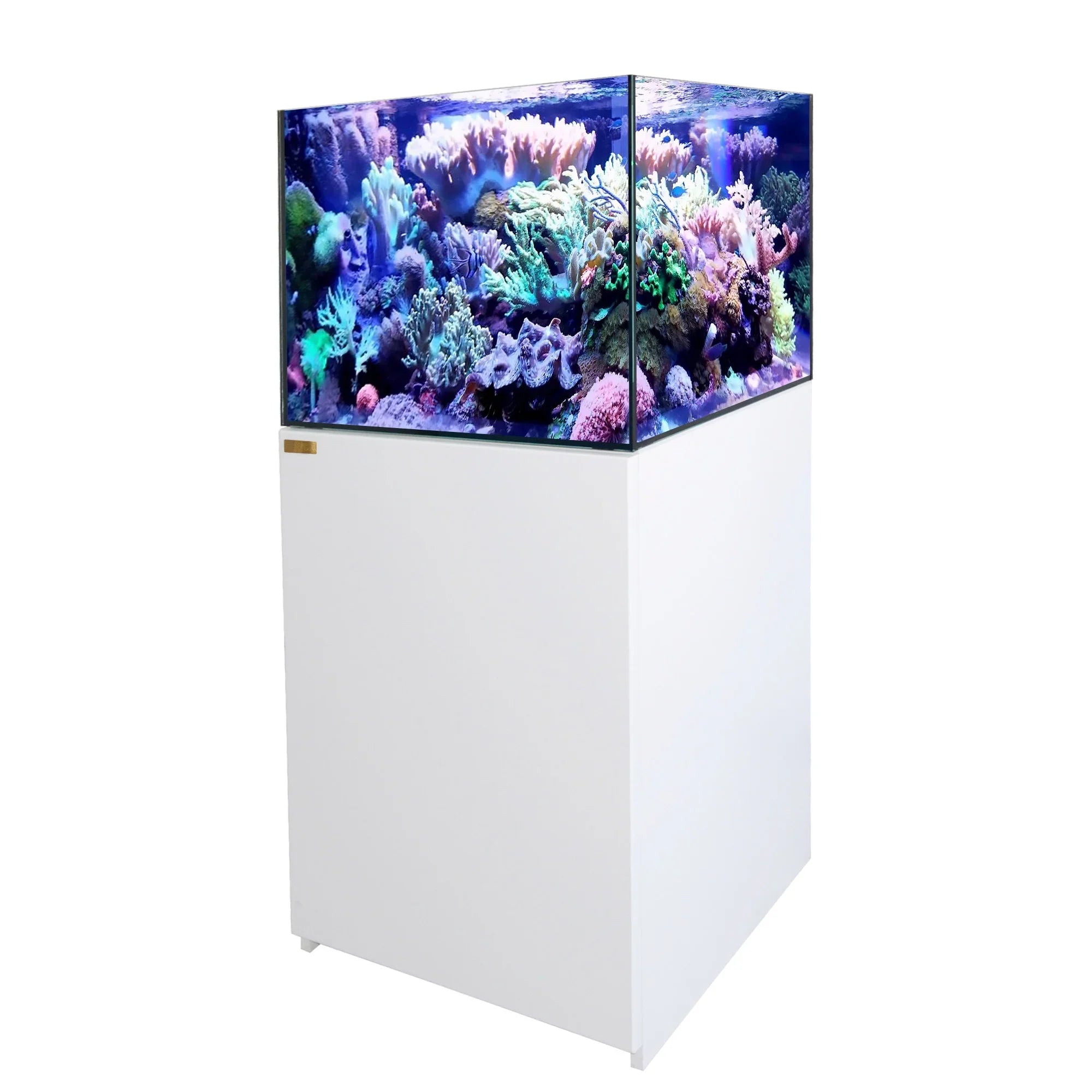 AquaDream 90 Gallon All-In-One Coral Reef Aquarium Tank with Ultra Clear Glass and Built in Sizeump All Ivory