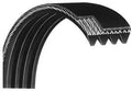 Precor d&d Sizeecondary Pulley Drive Belt 10217-108 Works 846 C846 Recumbent Upright Bike