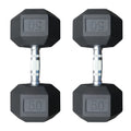 Deltech Fitness 50 lb Rubber Dumbbell Pair (RDB-050)