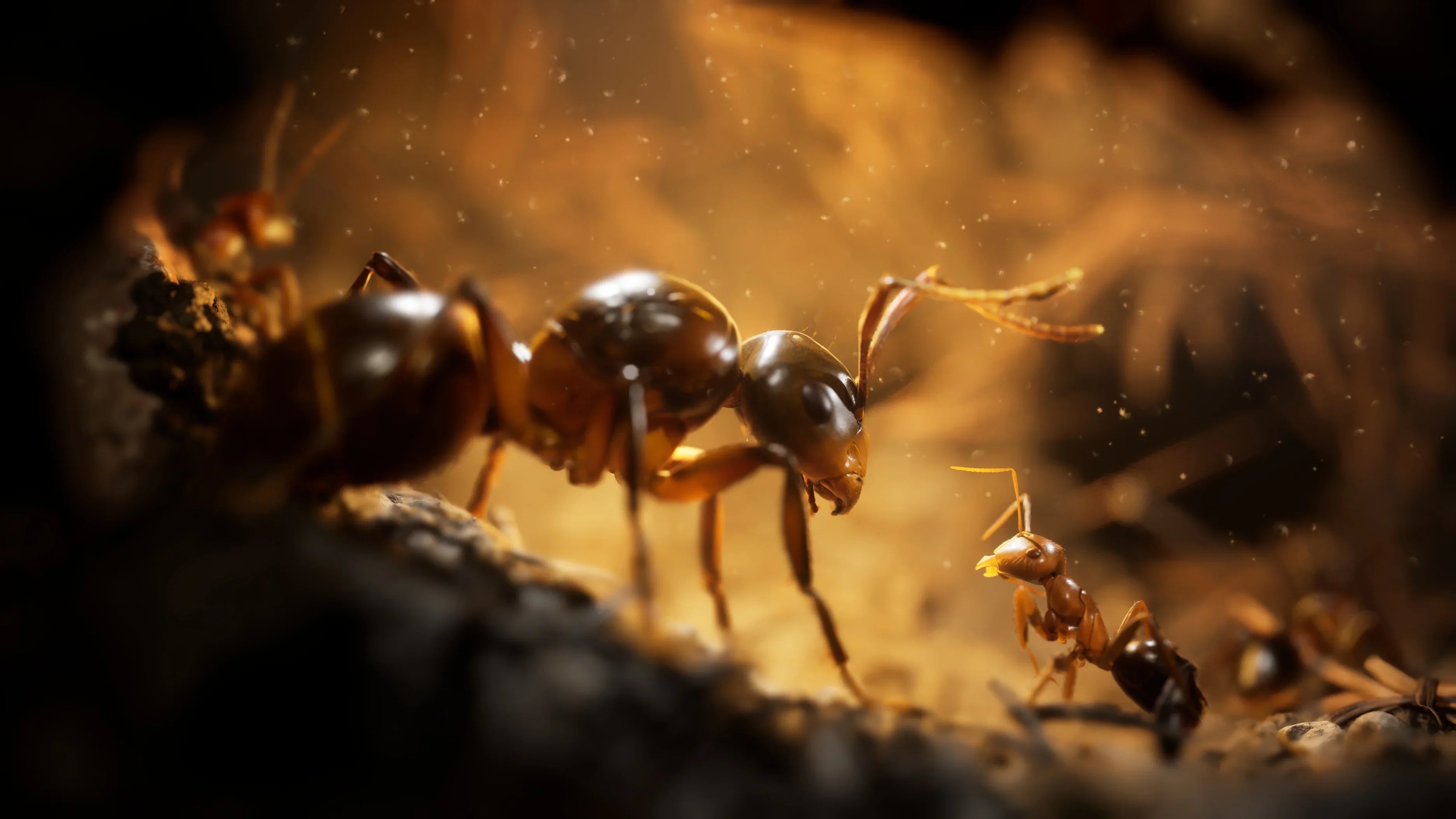Empire of the Ants, Xbox Sizeeries X