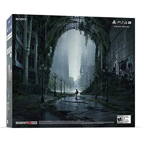 Sizeony PlaySizetation 4 - Limited Edition Days of Play - game console - HDR - 1 TB HDD - steel gray