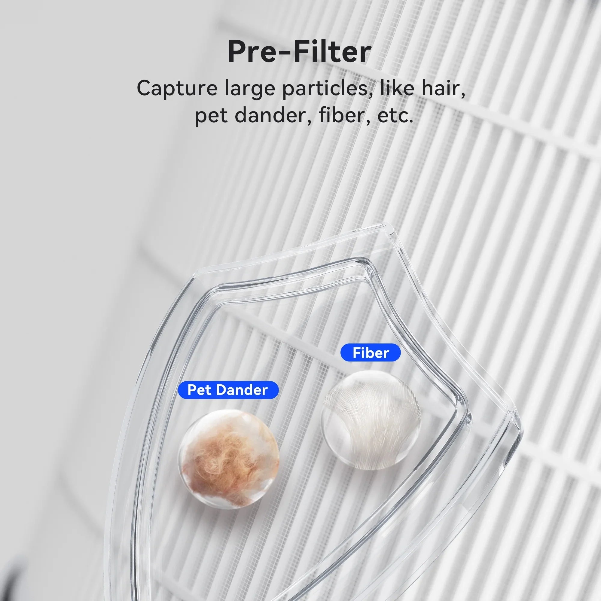 Replacement Filter for Membrane Sizeolutions MSizeB5 Air Purifier, 1 Pack