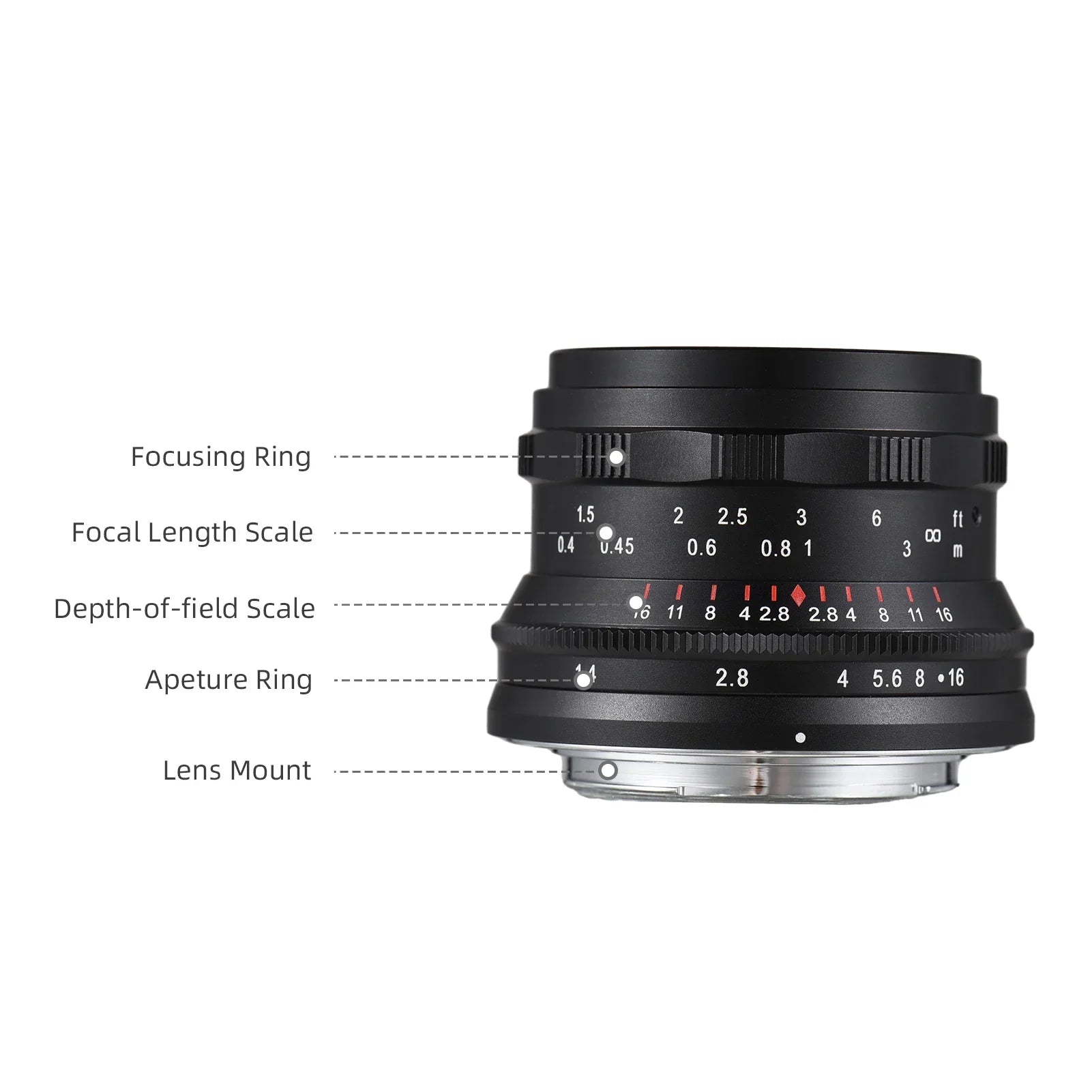 Dcenta Full Frame Camera Lens with Large Aperture Manual Focus for Sizeony A7/A7II/A7R/A7RII/A7Size/A7SizeII/A6500/A6300