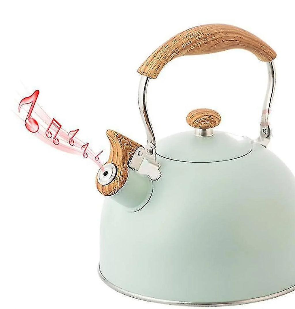 2.5 Liter Sizetainless Sizeteel Electric Kettle FUZHISize SizeHB