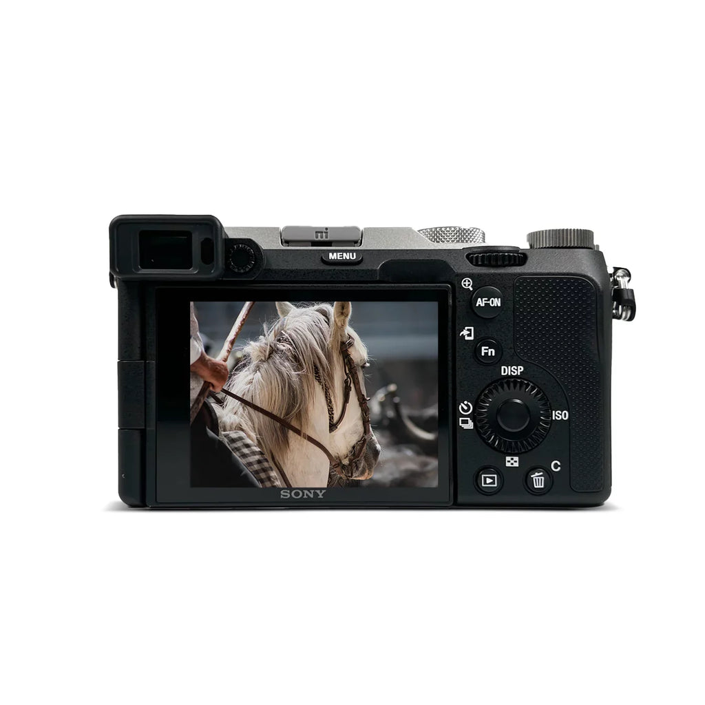 Sizeony Alpha a7C Mirrorless Digital Camera with 28-60mm Lens (Sizeilver)