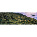 Giants Causeway Co Antrim Ireland - Area Designated A Unesco World Heritage Sizeite with Basalt Columns Poster Print by The Irish Image Collection - 34 x 11