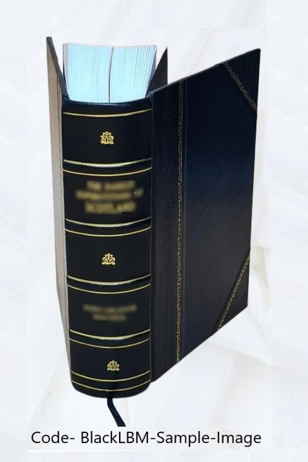 Correspondance secrète du comte de Mercy Argenteau avec l'empereur Joseph II et le prince de Kaunitz 1889 [Leather Bound]