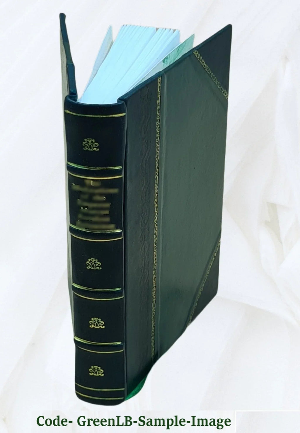 La vie et les aventures surprenantes de Robinson Crusoé. Contenant son retour dans son isle ses autres nouveaux voyages & ses réflexions; traduit de l'anglais. v.2. Volume v.2 1776