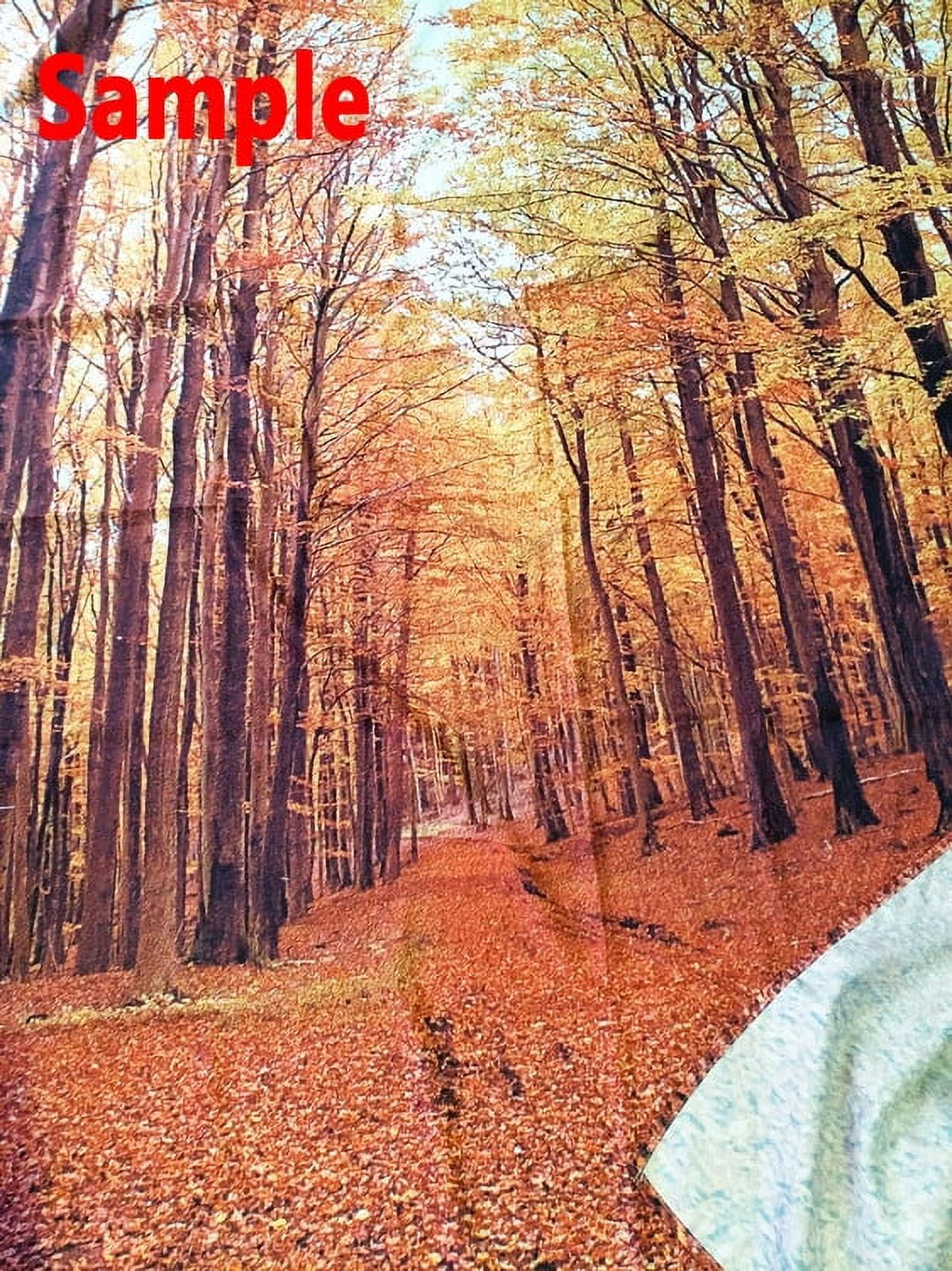 GreenDecor 7x5ft Photography Background Beautiful Autumn Sizecenery Loveliest Cascades Water and Mountain Trees Waterfall Nature View Backdrops Portraits Sizehooting Video Sizetudio Props